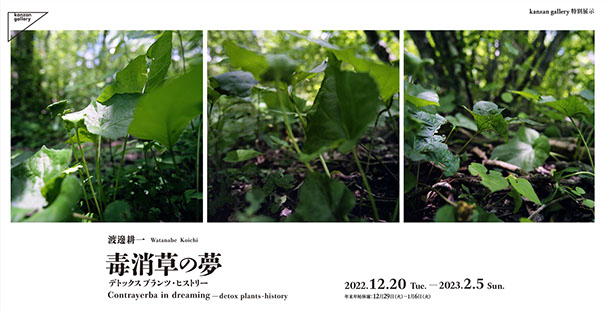 Watanabe_Koichi |kanzangallery