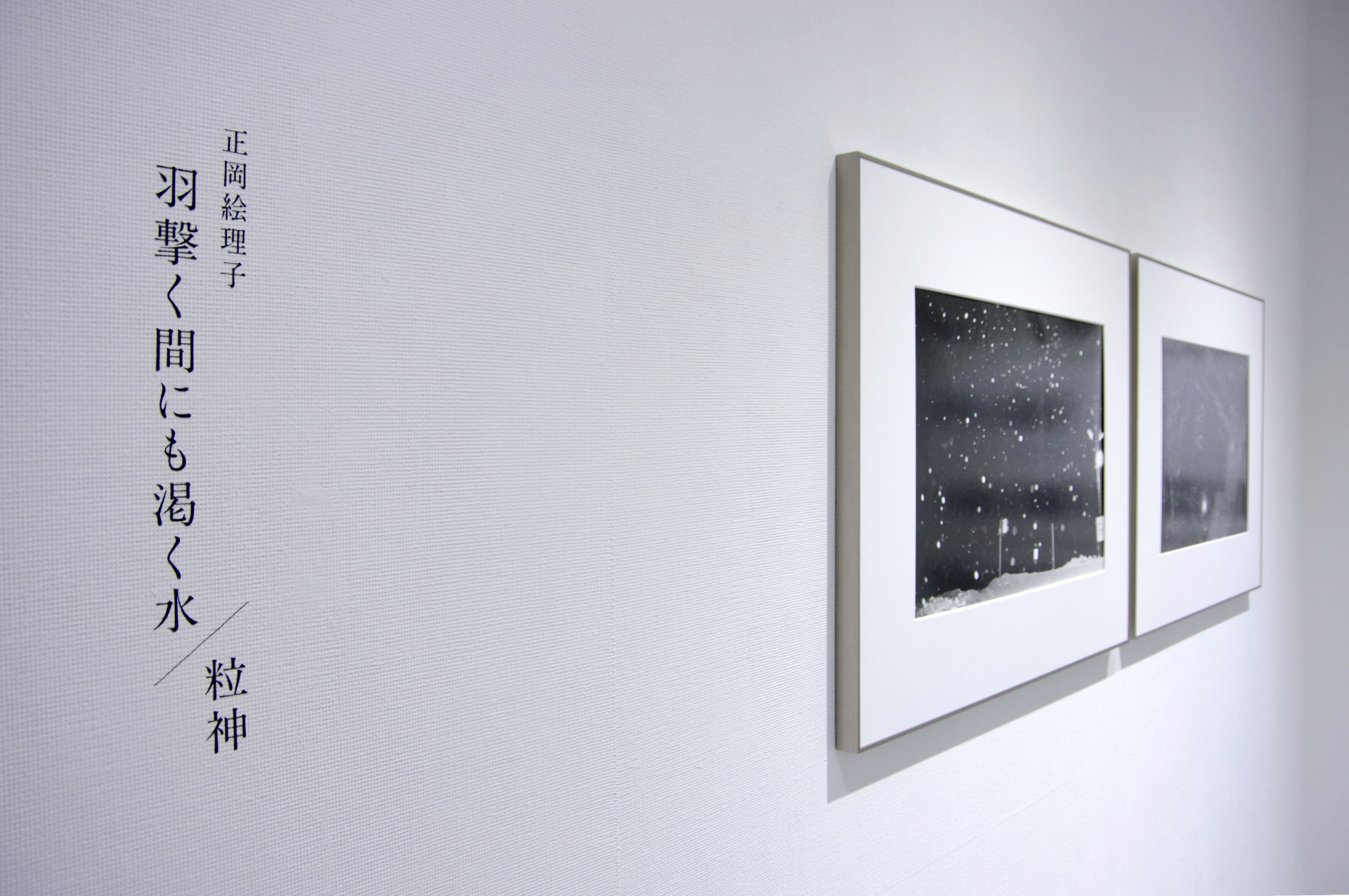 羽撃く間にも渇く水／粒神｜正岡絵理子 作品画像