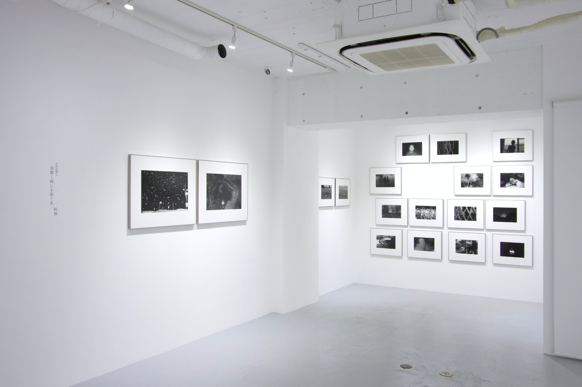 羽撃く間にも渇く水／粒神｜正岡絵理子 作品画像