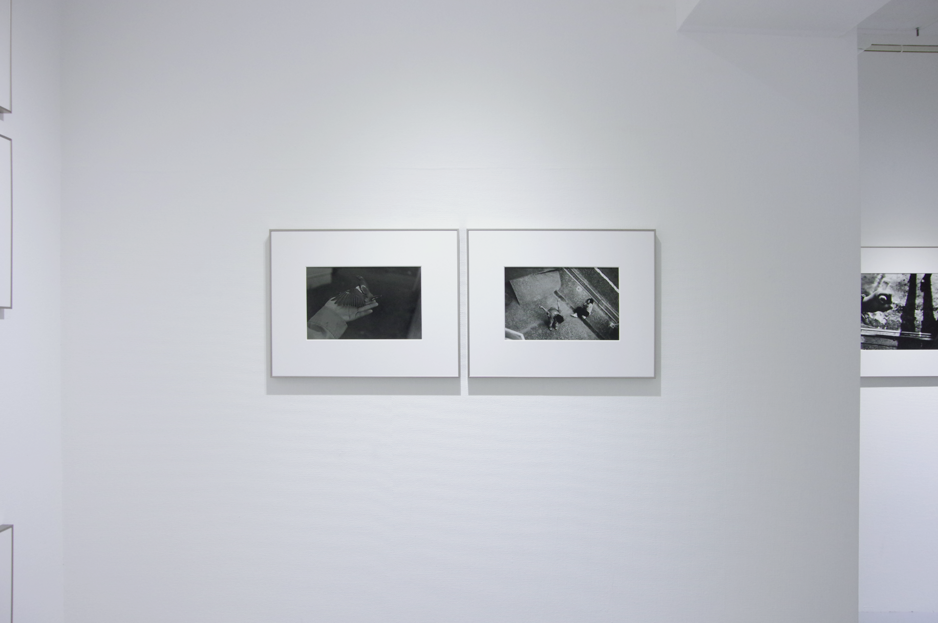 羽撃く間にも渇く水／粒神｜正岡絵理子 作品画像