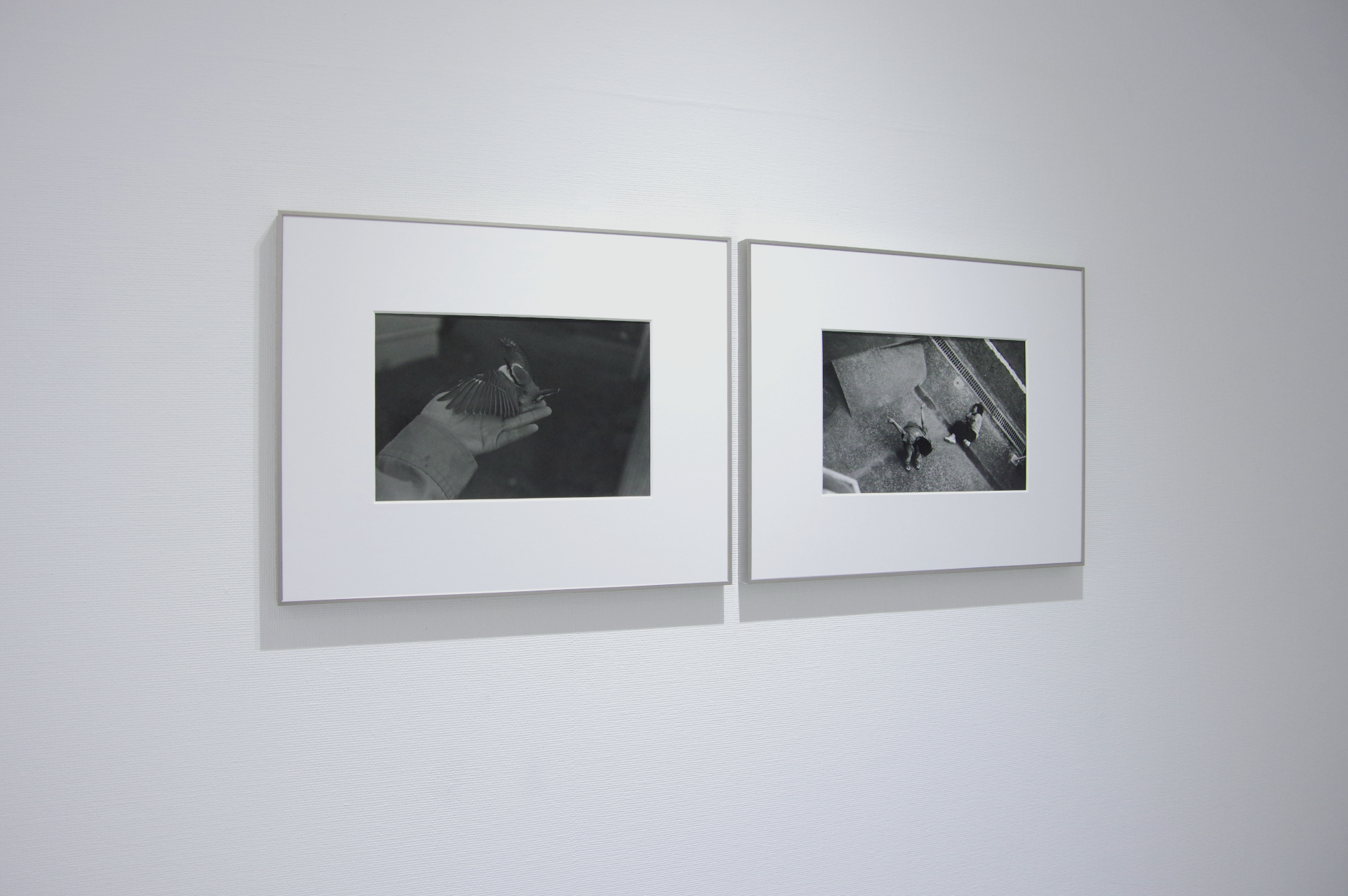 羽撃く間にも渇く水／粒神｜正岡絵理子 作品画像