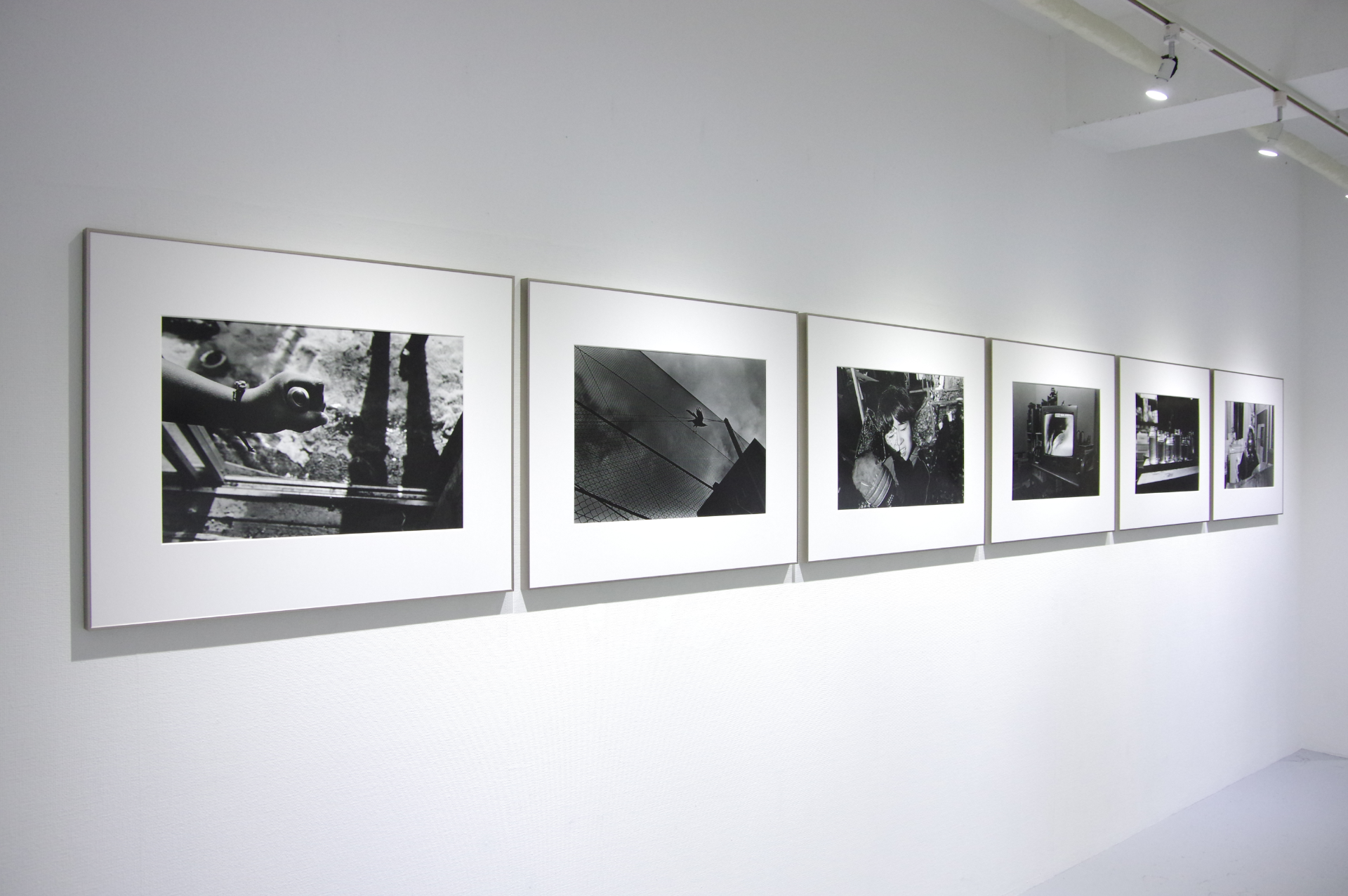 羽撃く間にも渇く水／粒神｜正岡絵理子 作品画像