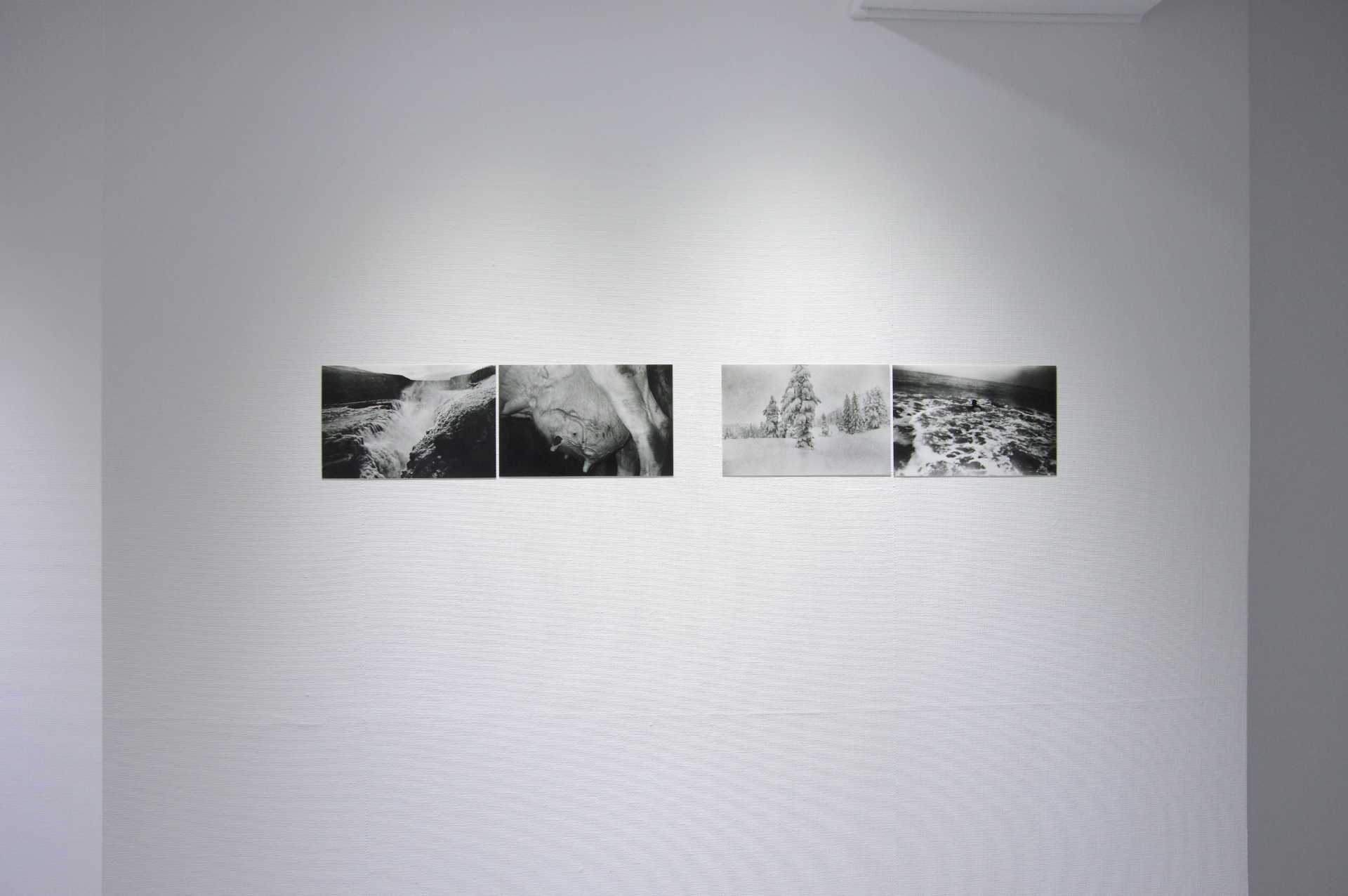 羽撃く間にも渇く水／粒神｜正岡絵理子 作品画像