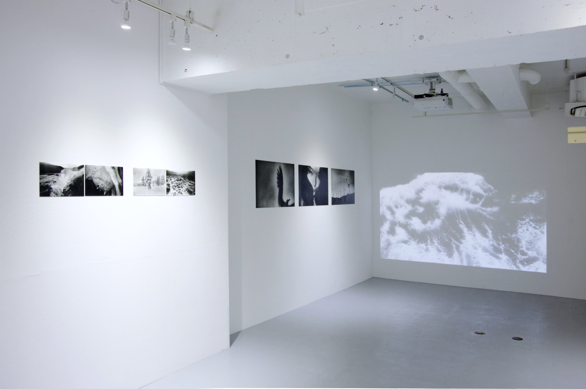 羽撃く間にも渇く水／粒神｜正岡絵理子 作品画像