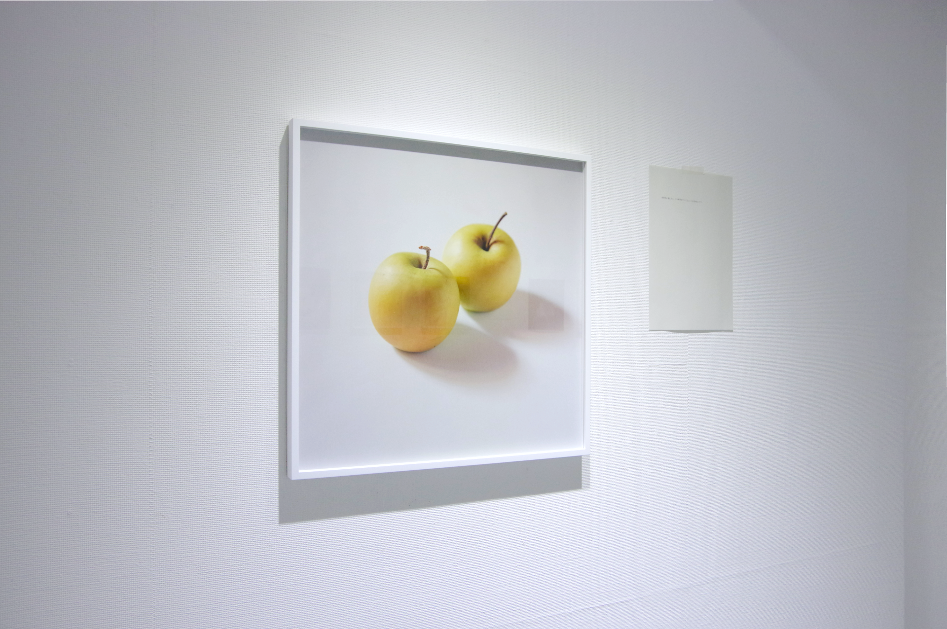 一之瀬ちひろ Chihiro Ichinose | STILL LIFE | 翠ブックス