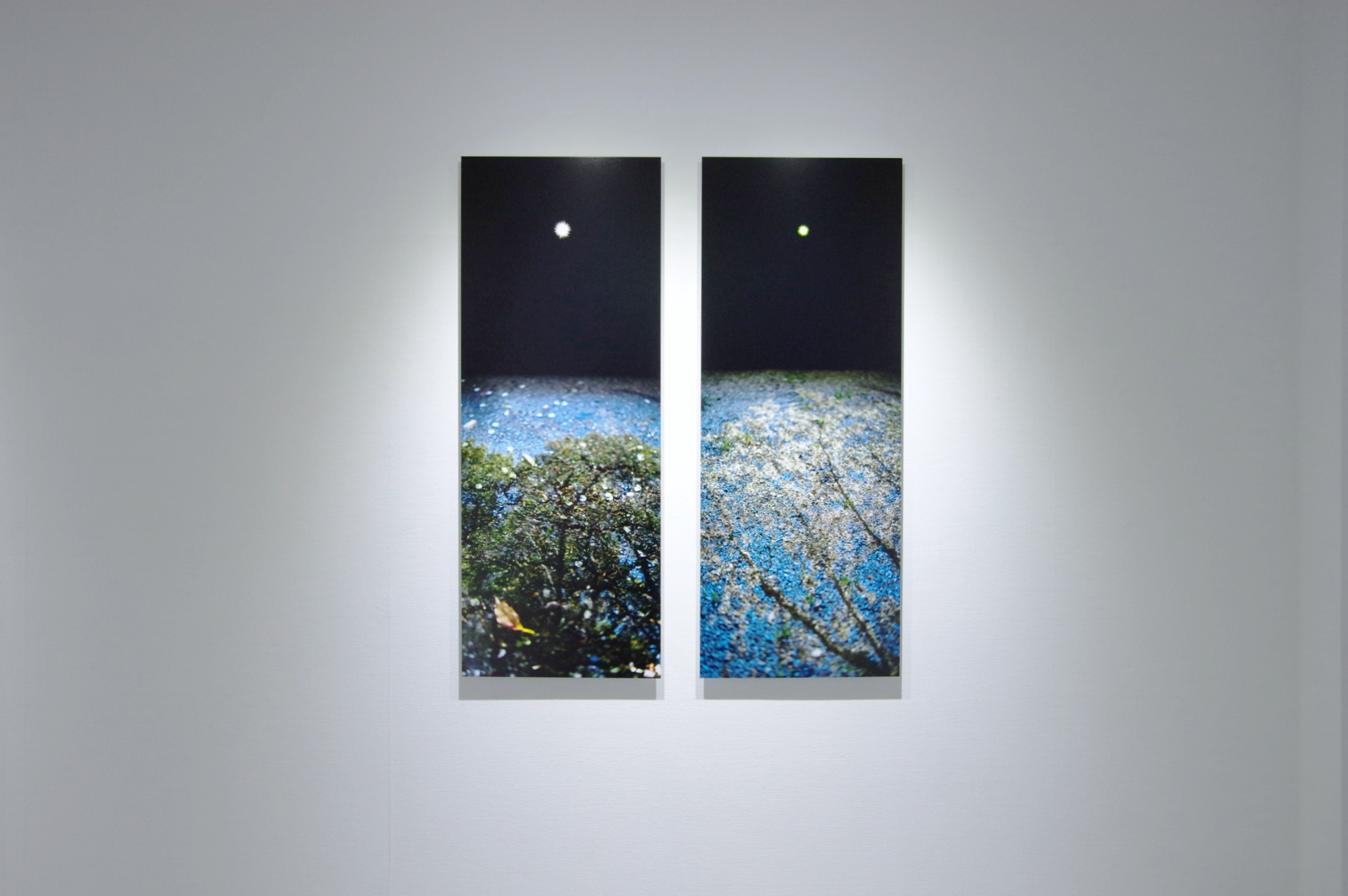 Pinhole Camera Extended｜岡本明才 作品画像