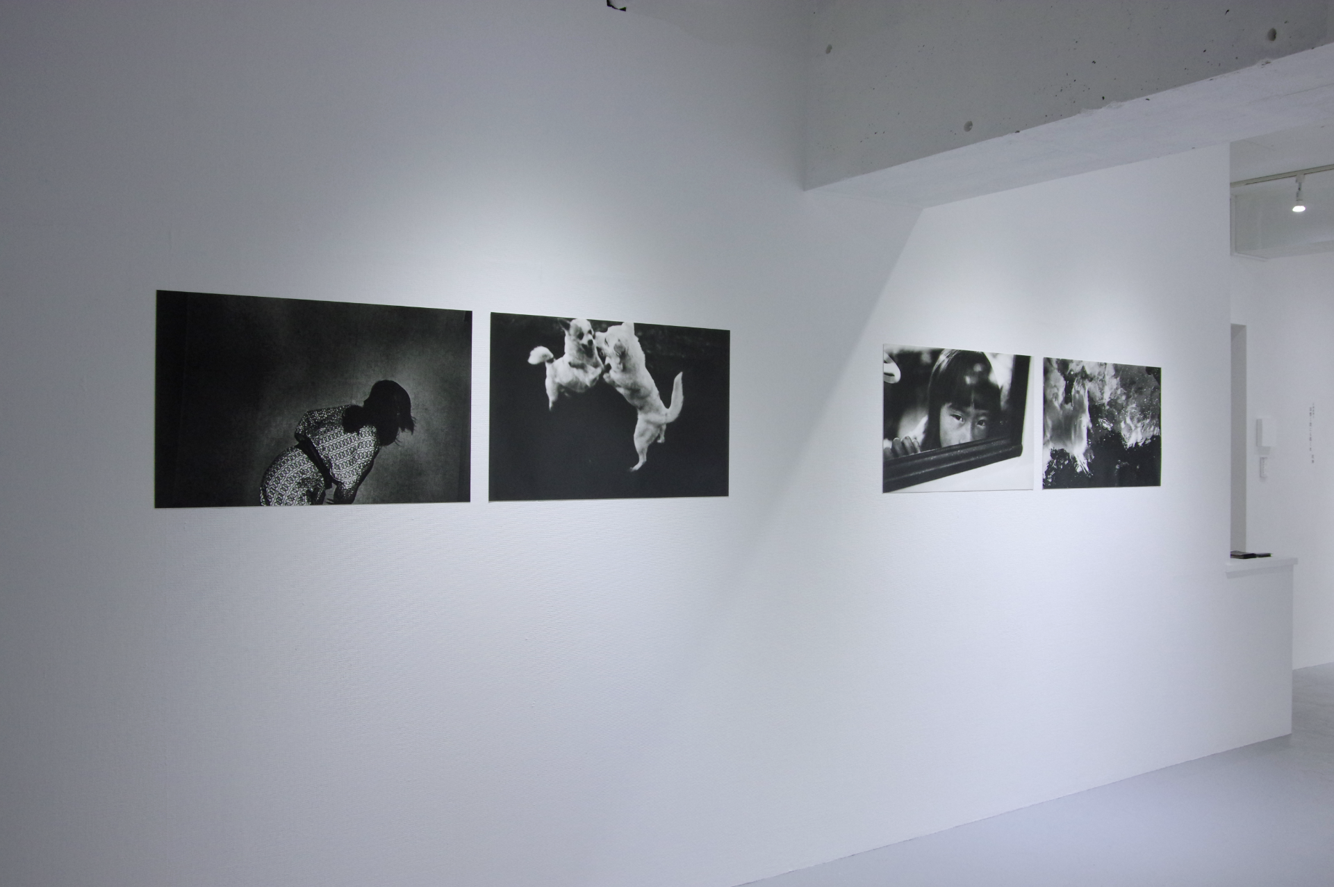 羽撃く間にも渇く水／粒神｜正岡絵理子 作品画像