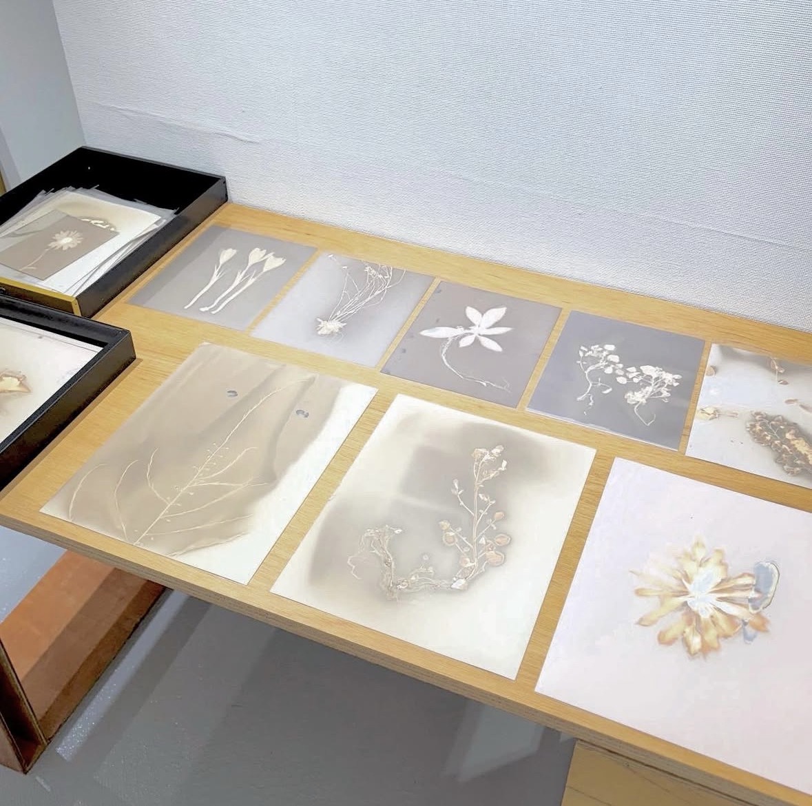cabinet project 作品画像