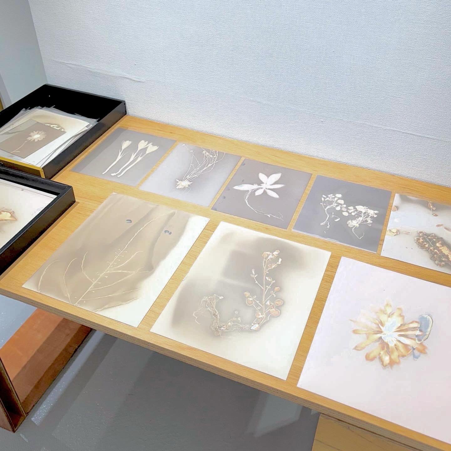 Cabinet project 作品画像