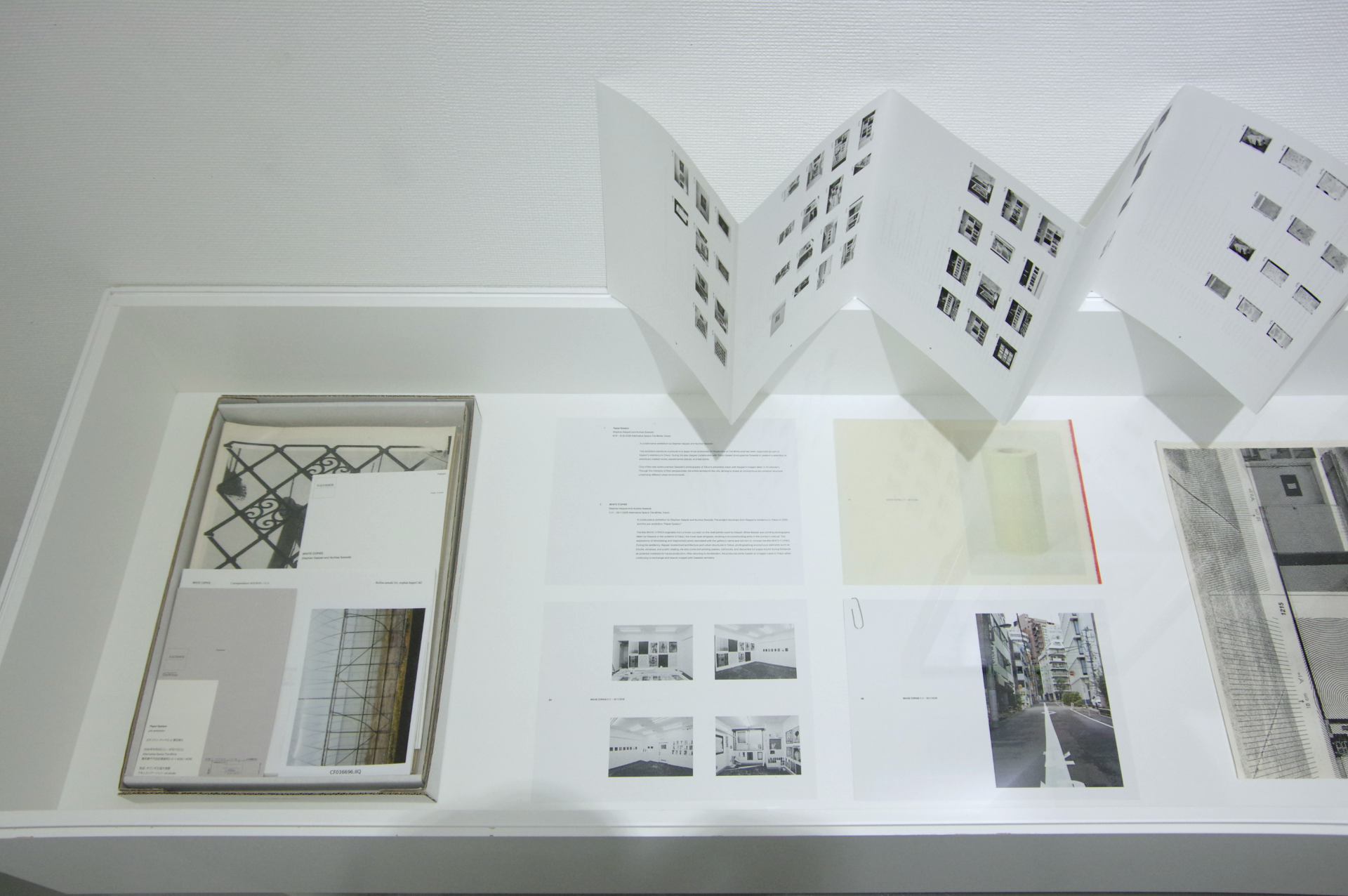 WHITE COPIES｜Ikuhisa Sawada and Stephan Keppel 作品画像