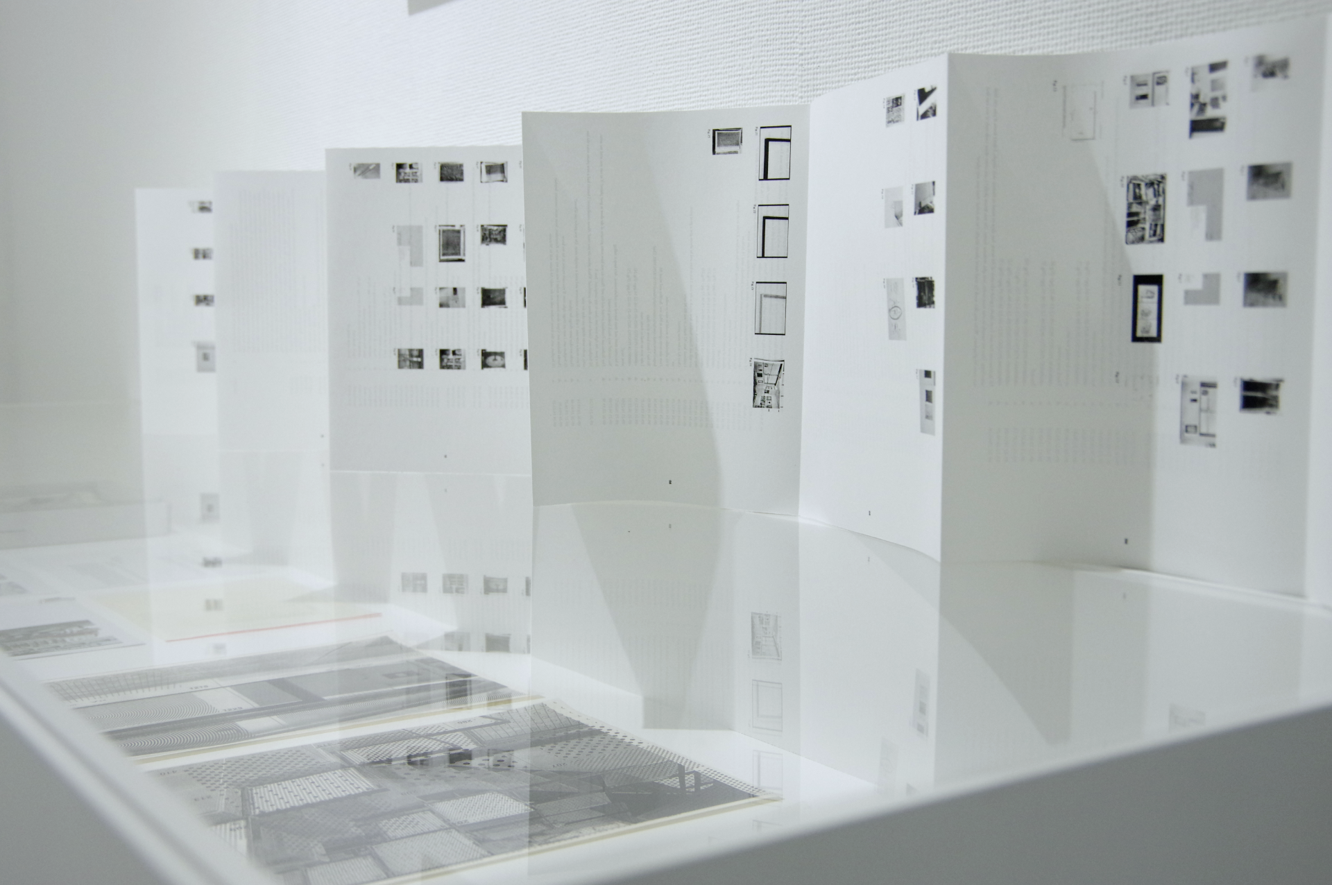WHITE COPIES｜Ikuhisa Sawada and Stephan Keppel 作品画像